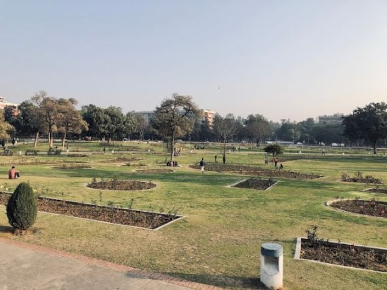Zakir Hussain Rose Garden-1